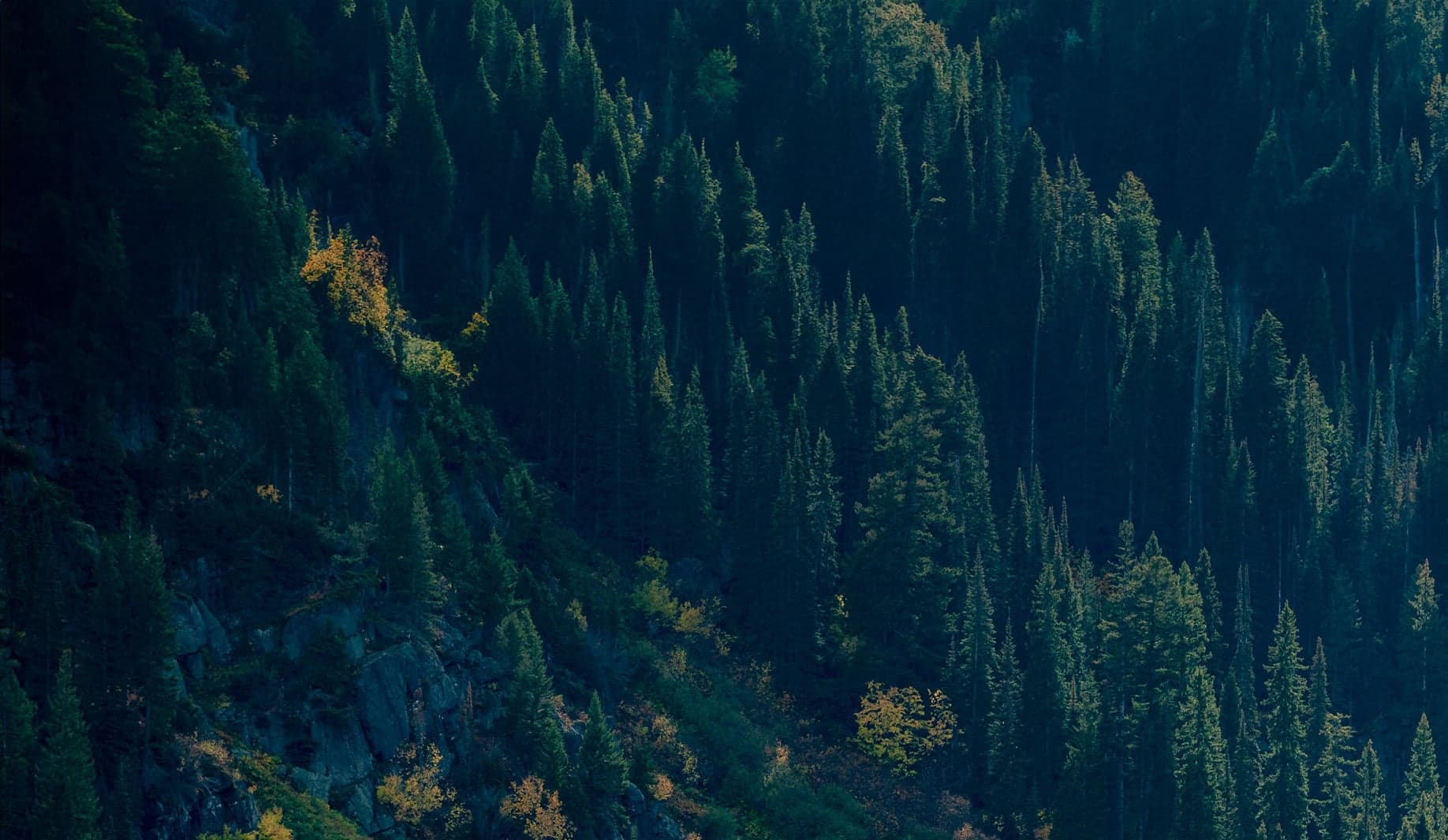 AM Best Rating reaffirms insurtech Accelerant’s excellent credit rating